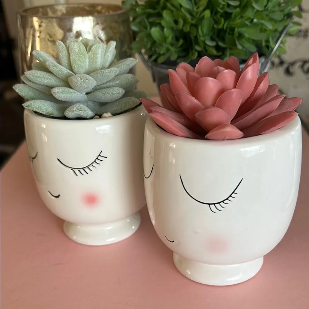 Feminine Face Planters with faux Succulents in pink and green set of two